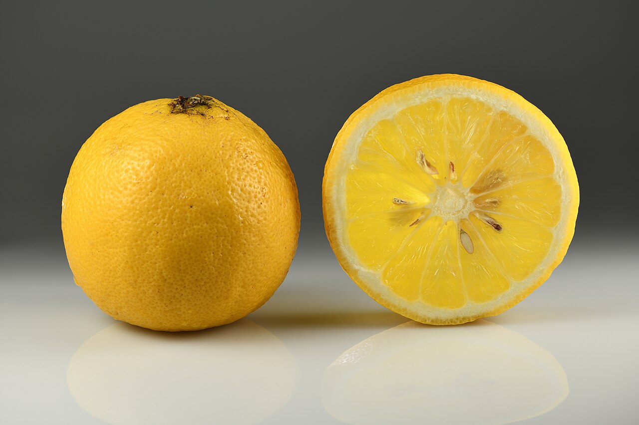 A whole bergamot and a sliced bergamot showing the citrus flesh